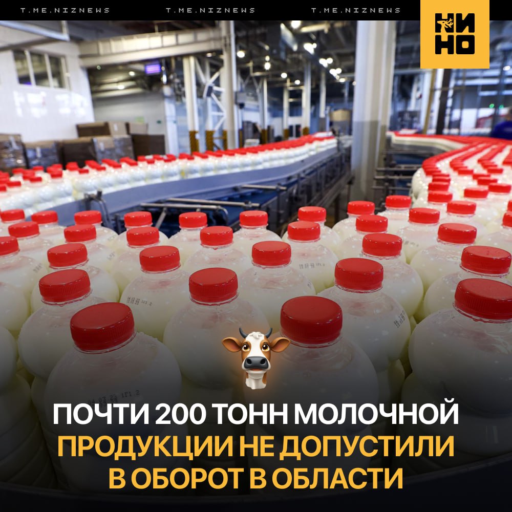 🥛 197 тонн опасной молочной продукции обнаружили в области